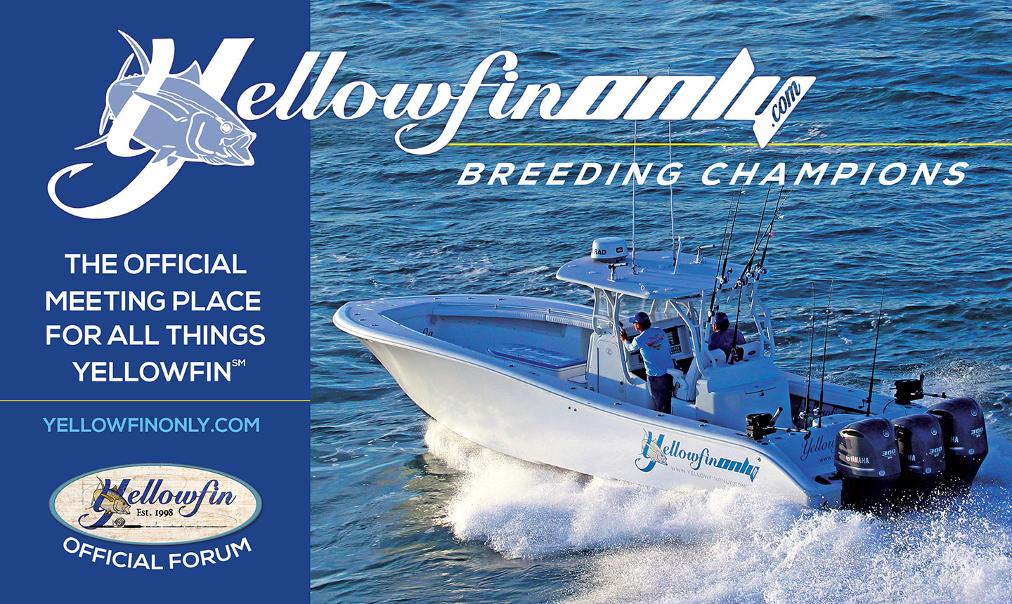 YellowfinOnly